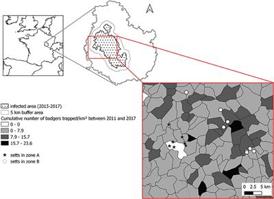 Estimation of Bait Uptake by Badgers, Using Non-invasive Methods, in the Perspective of Oral Vaccination Against Bovine Tuberculosis in a French Infected Area